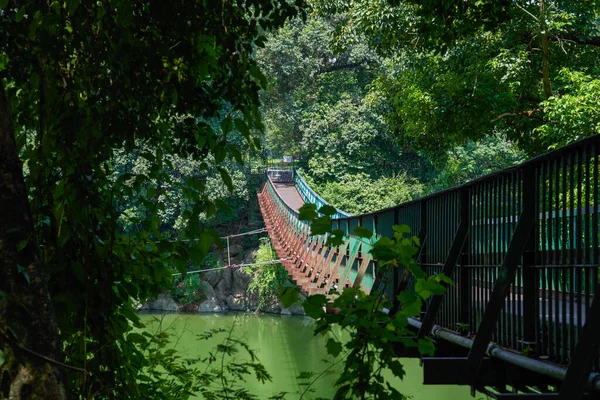 Uma Ponte Suspensa Madeira Sobre Rio Floresta — Fotografia de Stock