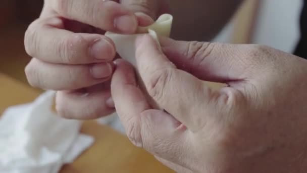 Een Persoon Het Maken Van Dumplings Traditionele Chinese Gerechten — Stockvideo