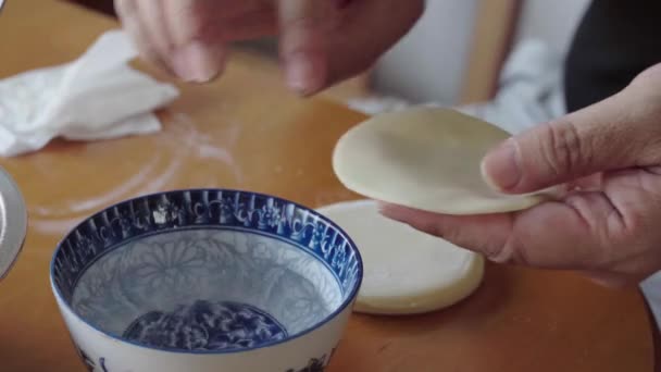 Een Persoon Het Maken Van Dumplings Traditionele Chinese Gerechten — Stockvideo