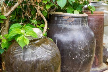 Çin geleneksel toprak kaplama kavanozu yakın çekim