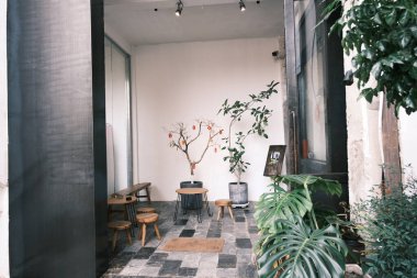 Sıradan modern bitki tasarım tarzı küçük bahçe tasarımı