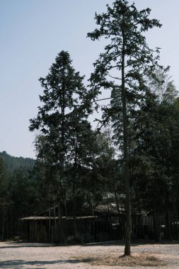 Jiangxi, Çin 'deki Jingdezhen Seramik Müzesinin mimarisi.