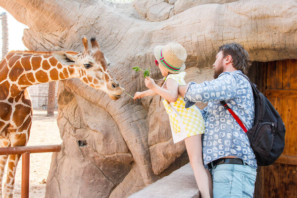 Dad and daughter feed a giraffe