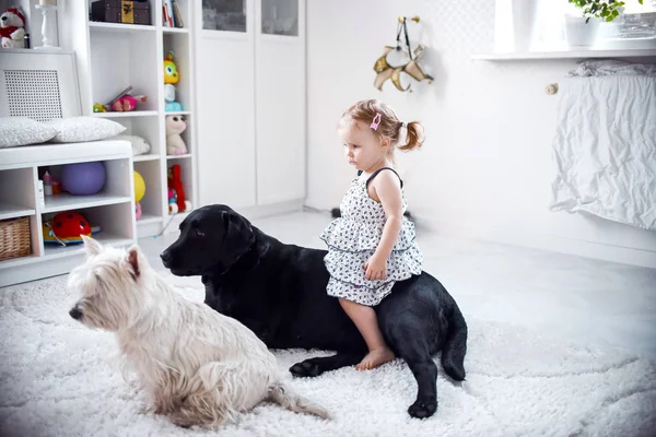 evde kreşte halı üzerinde köpeklerle oynayan küçük kız 