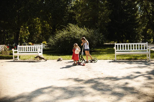 Deux Sœurs Profiter Ensemble Lors Équitation Scooters Dans Parc Été — Photo