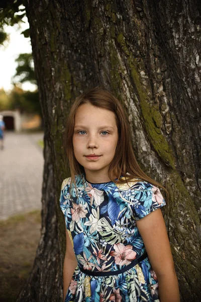 Маленька Мила Дівчинка Літній Сукні Позує Біля Стовбура Дерева Сонячний — стокове фото
