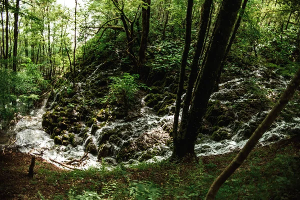 Río Montaña Con Paisaje Forestal —  Fotos de Stock