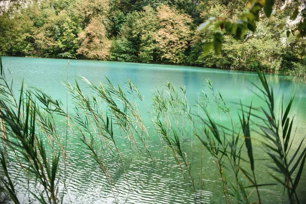 Красивое Озеро Деревьями Вокруг — стоковое фото