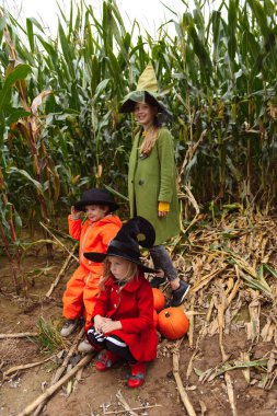 Cadılar Bayramı çocukları mısır tarlasında yürüyor