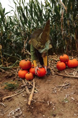 Cadılar Bayramı çocukları mısır tarlasında yürüyor