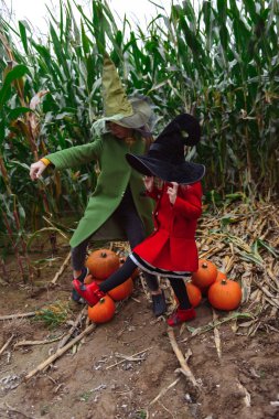 Cadılar Bayramı çocukları mısır tarlasında yürüyor