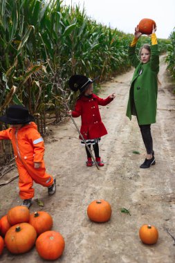 Cadılar Bayramı çocukları mısır tarlasında yürüyor