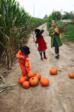 Cadılar Bayramı çocukları mısır tarlasında yürüyor