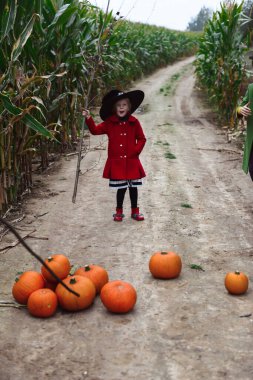Cadılar Bayramı çocukları mısır tarlasında yürüyor