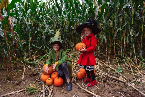 Halloween Dzieci Spacerujące Polu Kukurydzy — Zdjęcie stockowe