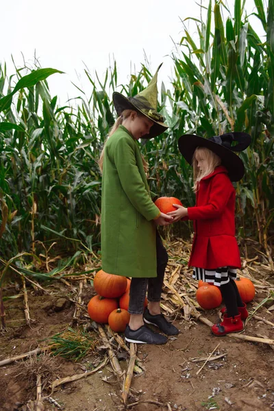 Halloween Gyerekek Sétálnak Kukoricaföldön — Stock Fotó