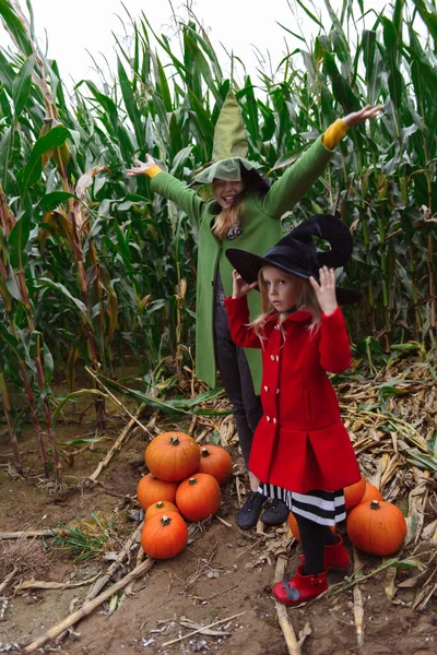 Halloween Gyerekek Sétálnak Kukoricaföldön — Stock Fotó