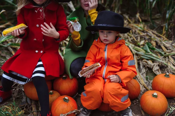 Дети Хэллоуин Гуляют Кукурузному Полю — стоковое фото