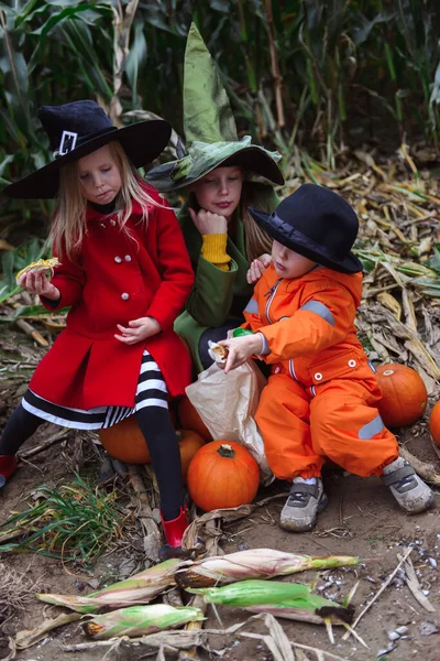 Halloween Niños Caminando Maizal — Foto de Stock