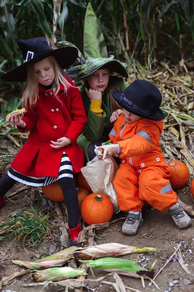 Halloween Niños Caminando Maizal — Foto de Stock