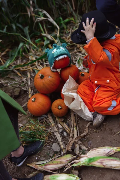 Bambini Halloween Che Camminano Nel Campo Grano — Foto Stock