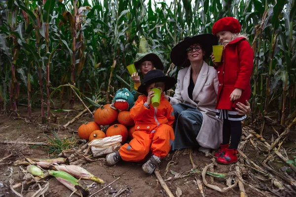 Halloween Gyerekek Sétál Kukoricaföldön — Stock Fotó