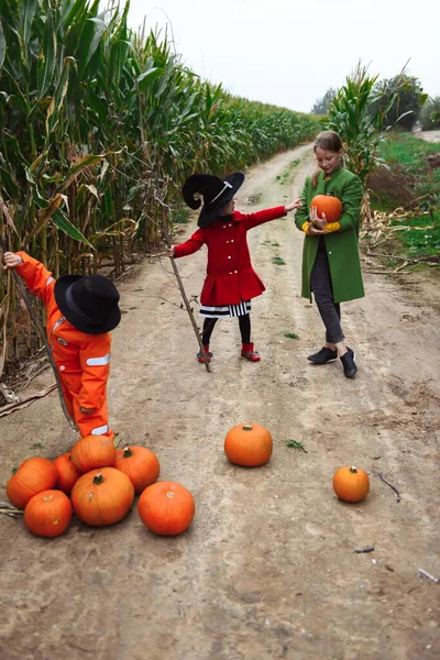 Halloween Gyerekek Sétálnak Kukoricaföldön — Stock Fotó