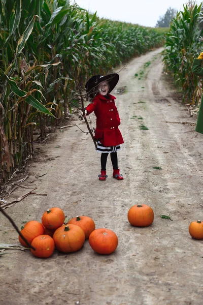 Halloween Gyerekek Sétálnak Kukoricaföldön — Stock Fotó