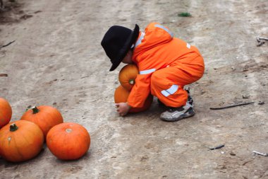 Cadılar Bayramı çocukları mısır tarlasında yürüyor