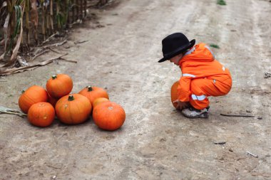 Cadılar Bayramı çocukları mısır tarlasında yürüyor