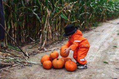 Cadılar Bayramı çocukları mısır tarlasında yürüyor