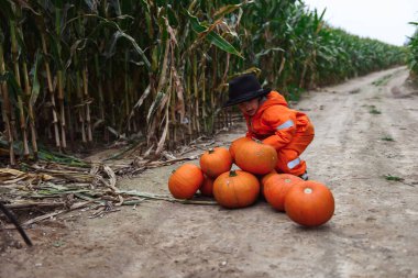 Cadılar Bayramı çocukları mısır tarlasında yürüyor