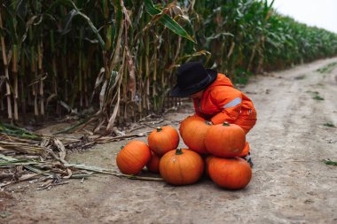 Cadılar Bayramı çocukları mısır tarlasında yürüyor