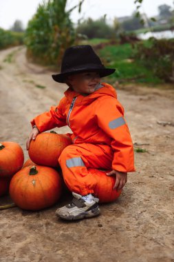Cadılar Bayramı çocukları mısır tarlasında yürüyor