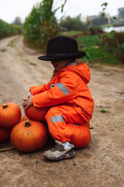 Cadılar Bayramı çocukları mısır tarlasında yürüyor