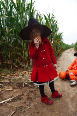 Cadılar Bayramı kızı mısır tarlasında yürüyor