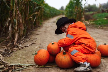 Cadılar Bayramı çocukları mısır tarlasında yürüyor
