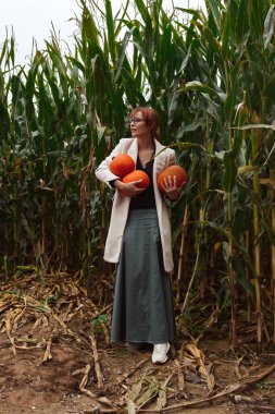 Cadılar Bayramı 'nda Cornfield' da Balkabağı Toplayan Kadın 