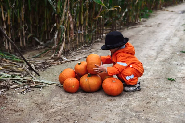 Halloween Gyerekek Sétálnak Kukoricaföldön — Stock Fotó