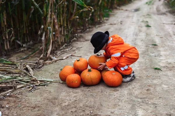 Halloween Niños Caminando Maizal — Foto de Stock