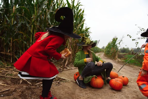 Halloween Gyerekek Sétálnak Kukoricaföldön — Stock Fotó