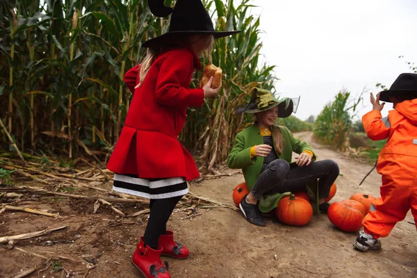 Halloween Gyerekek Sétálnak Kukoricaföldön — Stock Fotó