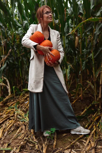 Mujer Reuniendo Calabazas Halloween Campo Maíz — Foto de Stock