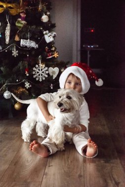 Noel Baba şapkalı çocuk. Batı İskoçya 'da Noel ağacının yanında.