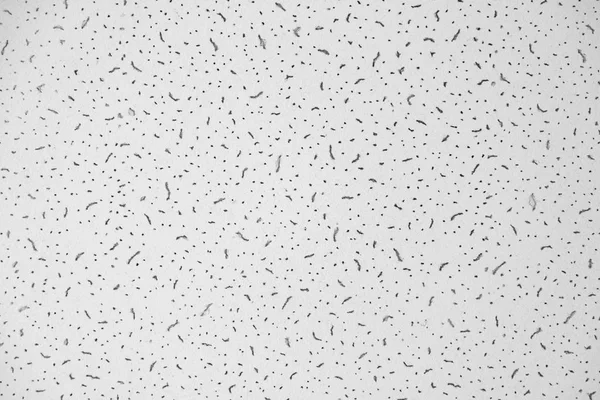 grey dusty texture of black dots on a gray background