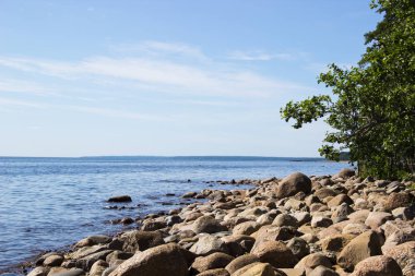 Beyaz bulutlar ve deniz arka plan mavi bir gökyüzü üzerinde yeşil ağaçlar ile güzel kayalık plaj