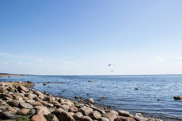 Ahşap doku veya arka plan açık mavi ve beyaz soyulması boya ile. Sol üst köşesinde bir oval vardır. Eski bir ahşap evin duvarına.