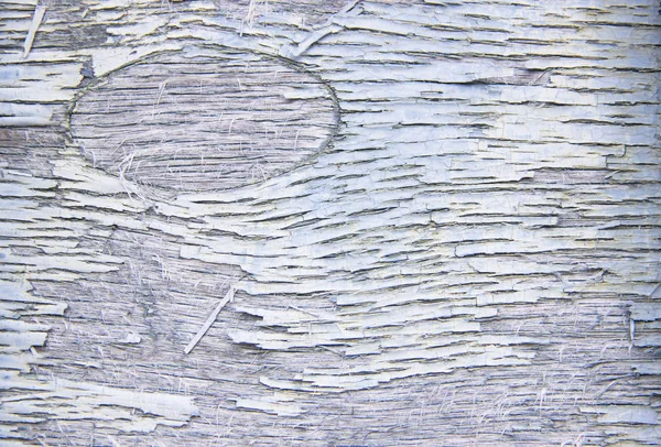 Ahşap doku veya arka plan açık mavi ve beyaz soyulması boya ile. Sol üst köşesinde bir oval vardır. Eski bir ahşap evin duvarına.