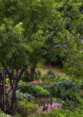Doğa kavramı. Yemyeşil ağaçlar ve parkta parlak çiçek açan çiçekler. Bir yaz gününde parkta bir yürüyüş.