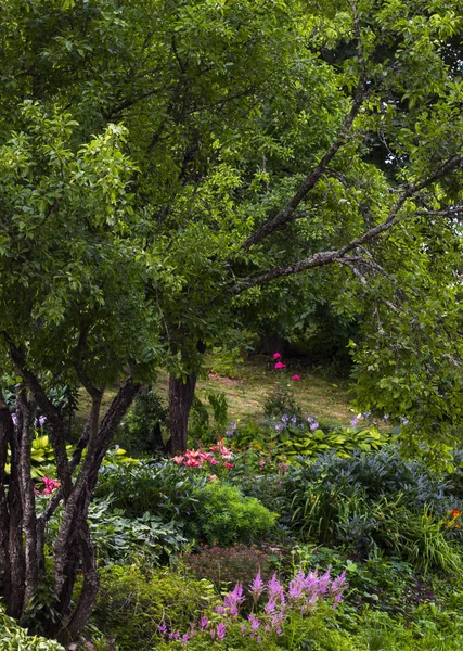 Conceito Natureza Árvores Verdes Flores Brilhantes Parque Passeio Parque Dia — Fotografia de Stock